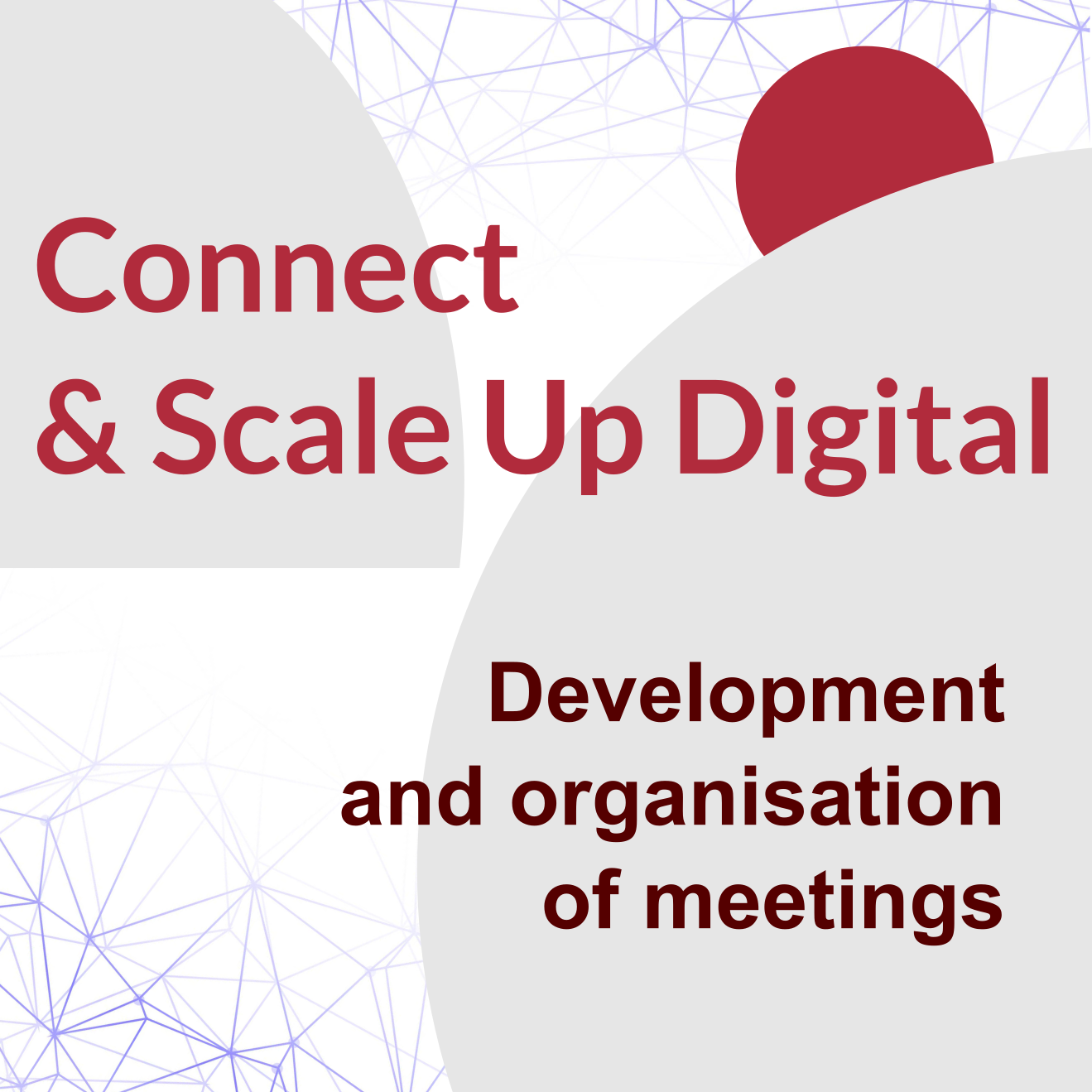 Connect & Scale Up Digital