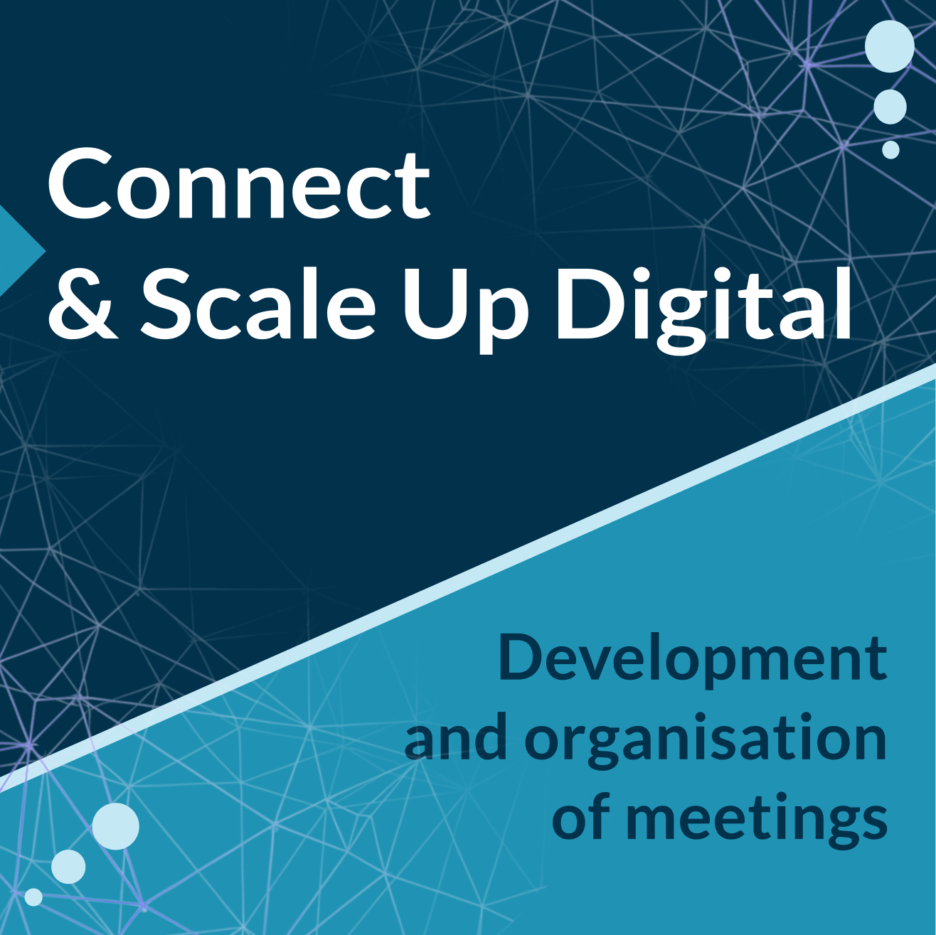 Connect & Scale Up Digital